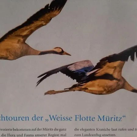 別荘 Happy Comfortable