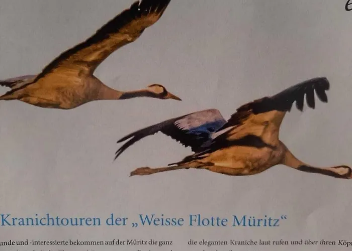 Holiday home Happy Comfortable